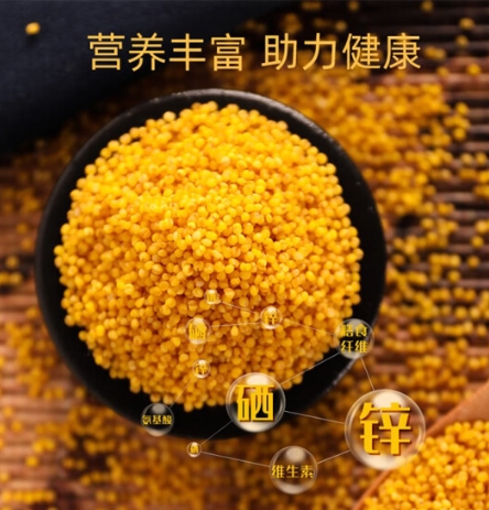 浑原红农家旱地精品小米 500g