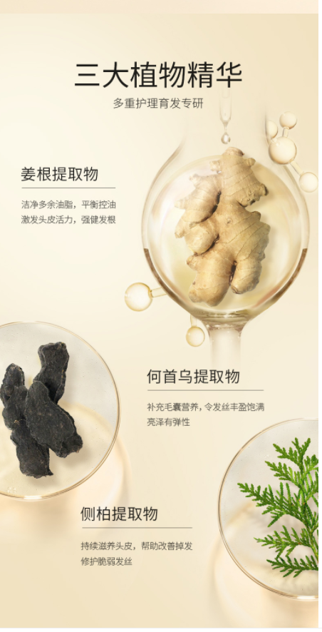 阿道夫姜护理专研洗发水(防脱育发)300ml