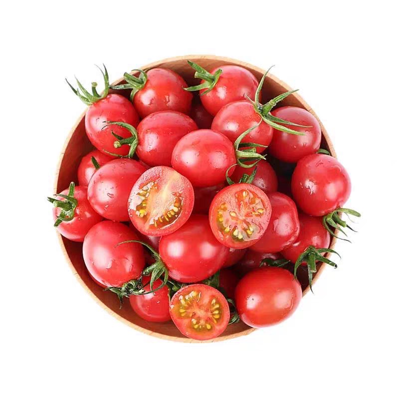 千禧小番茄3公斤 （集中配送到单位）