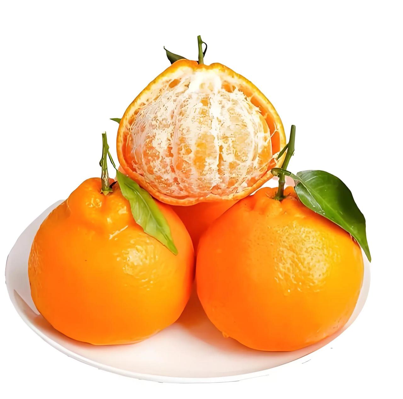 耙耙柑3公斤（集中配送到单位）