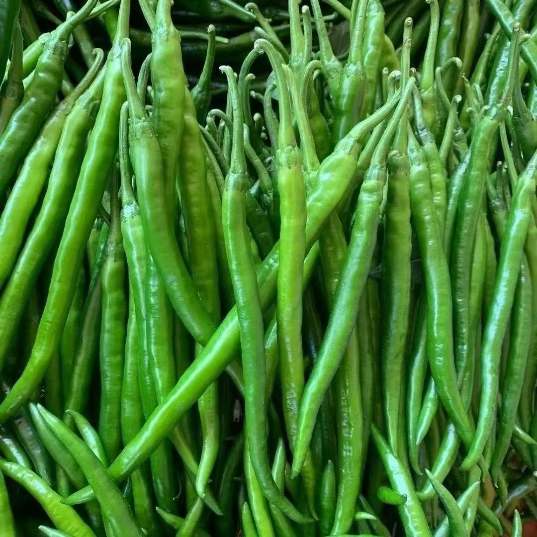 青二荆条500g