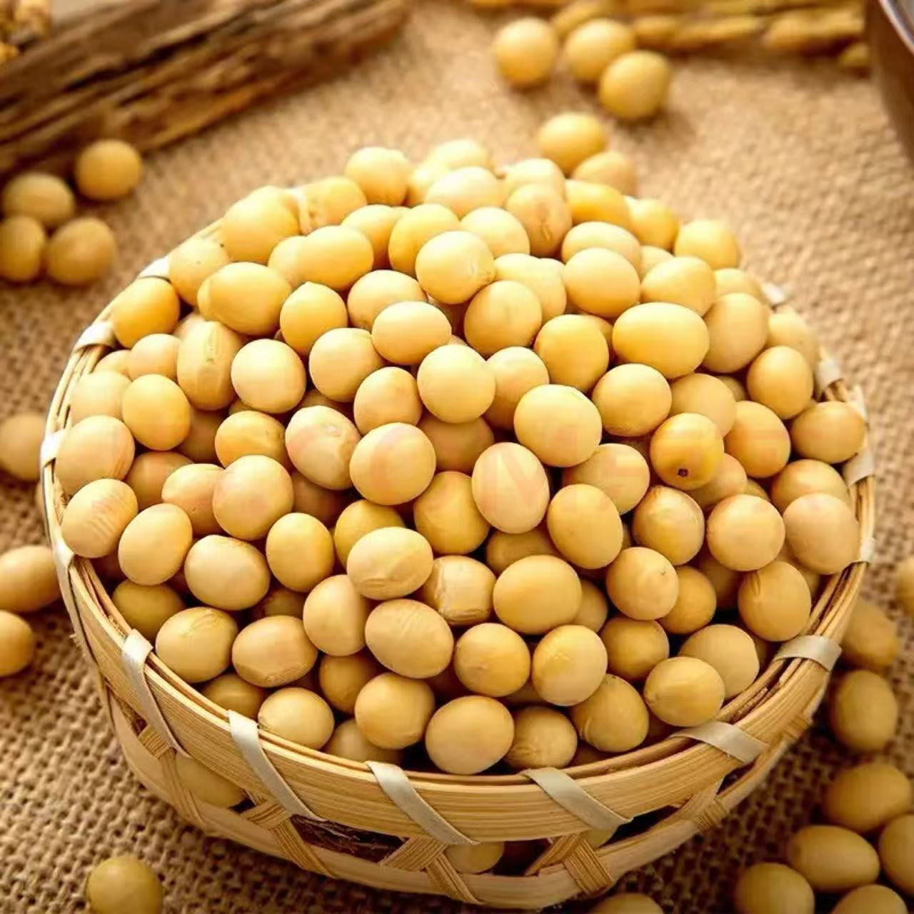 黄豆（中颗粒）500g