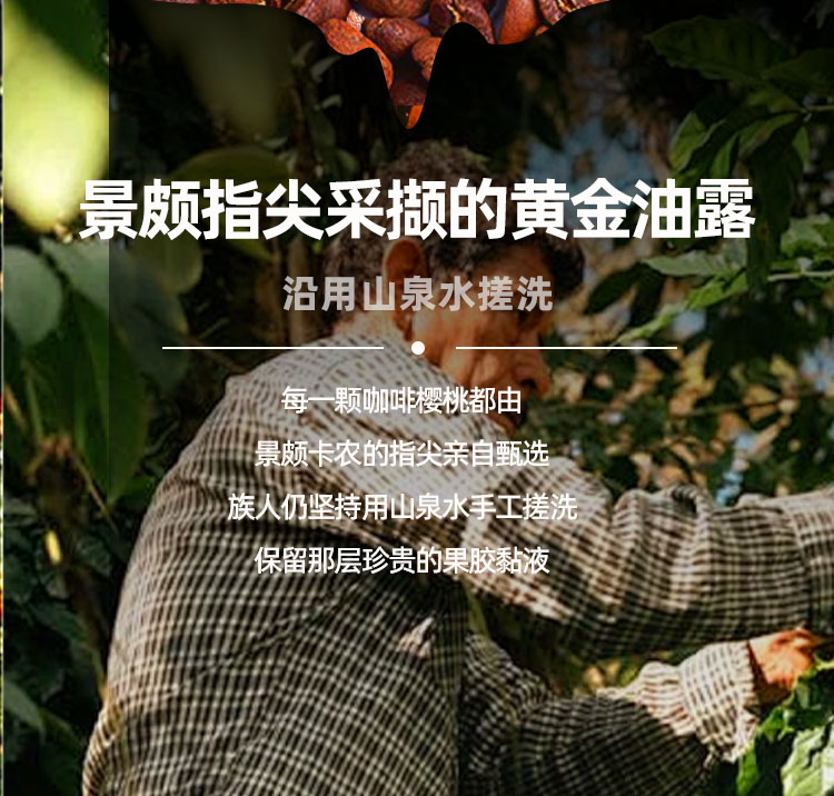 后谷新挂耳-蓝山8g*18袋（包邮到下单地址）