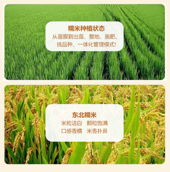 荷花米花糖500g（包邮到下单地址）